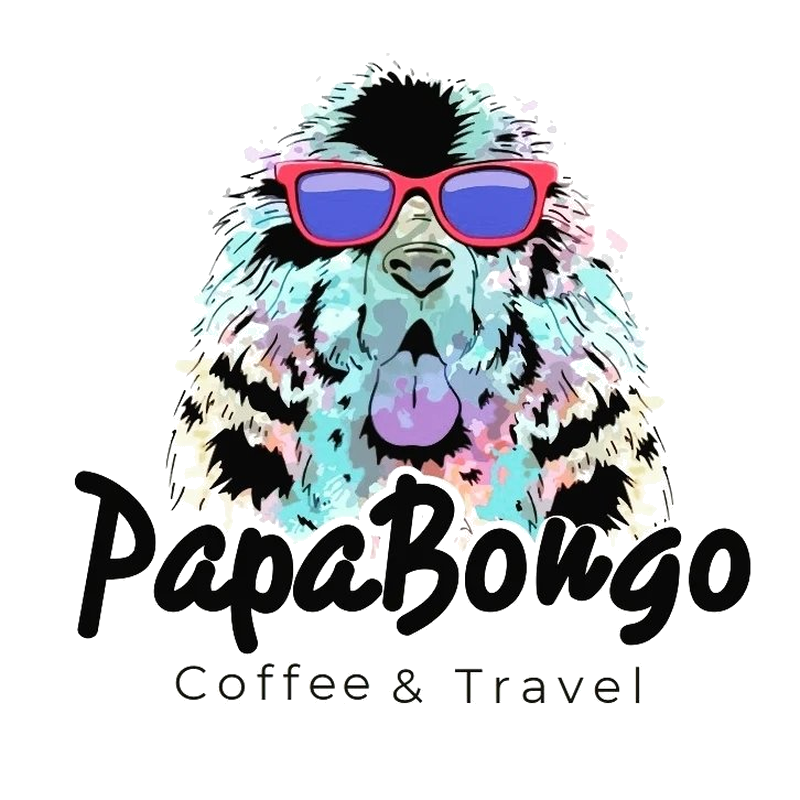 Cafe Bongo