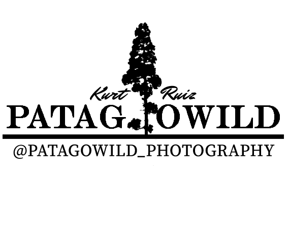 Patagowild